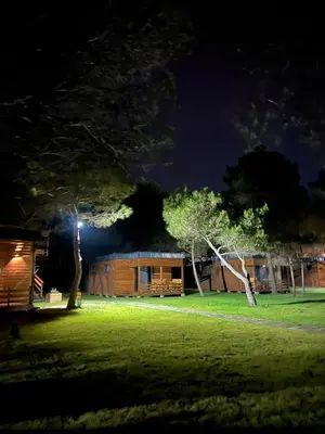 a house lit up at night with a tree at Imperial Family Bungalows in Ulcinj