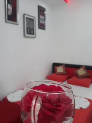 a glass vase filled with red roses on a table at Apartments Aza in Dobra Voda