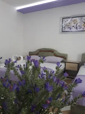 a bedroom with a bed with purple flowers at Apartments Aza in Dobra Voda