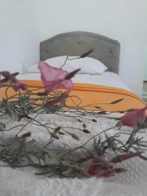 an orange bed with pink flowers on the snow at Apartments Aza in Dobra Voda
