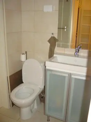 a bathroom with a white toilet and a sink at Apartment Mimosa in Kotor