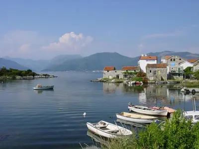a group of boats docked in a body of water at Apartment Mimosa in Kotor