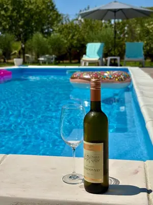 a bottle of wine and a glass next to a pool at Tiny house 1 - Imanje Terzic in Podgorica