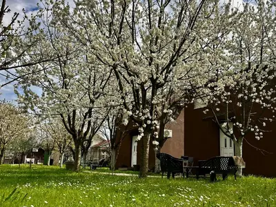 a tree with white flowers on it in a yard at Tiny house 1 - Imanje Terzic in Podgorica