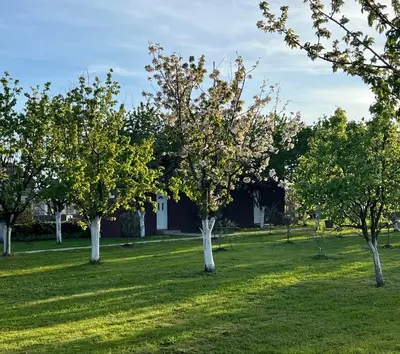 a group of trees in a field of grass at Tiny house 1 - Imanje Terzic in Podgorica