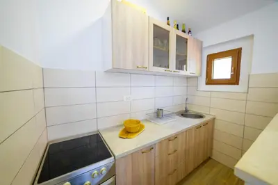 a small kitchen with a sink and a stove at Apartmani Popović in Popovići
