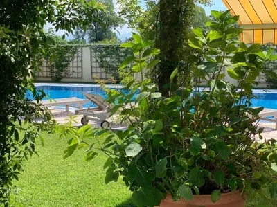 a garden with a swimming pool and a plant at Andrej home in Golubovci