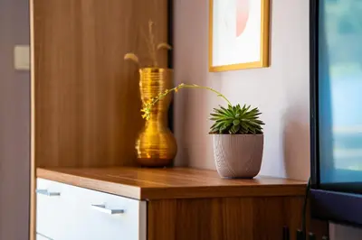 a vase and a plant on a wooden cabinet at Lovely Studio with Panoramic City View in Budva