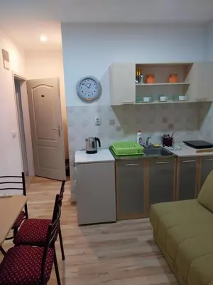 a kitchen with a stove and a counter top at Apartmani Jaz 24 in Budva