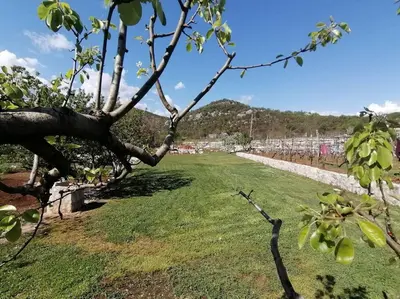 Gallery image of Kole stone studioapartment Rvaši in Cetinje