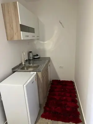 a small kitchen with a sink and a red rug at Tiny house 2 - Imanje Terzic in Podgorica