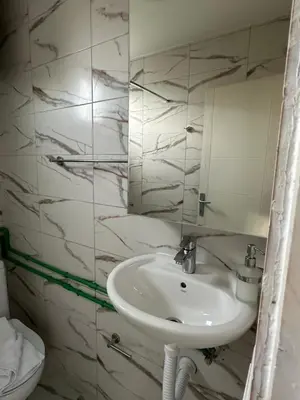 a bathroom with a sink and a mirror at Tiny house 2 - Imanje Terzic in Podgorica