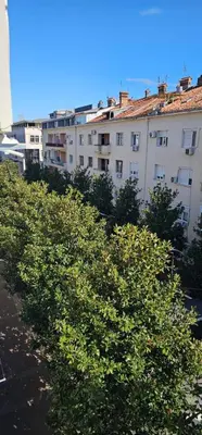 a row of bushes in front of a building at Plaza Centar Podgorica in Podgorica