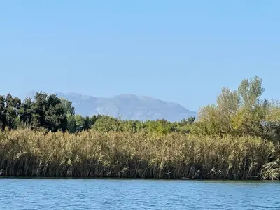 a field of reeds on the water with mountains in the background at NuA House 