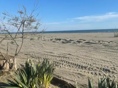 a sandy beach with tire tracks in the sand at NuA House 
