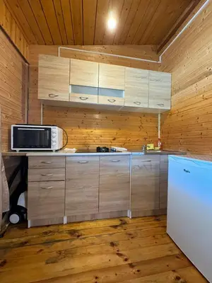 a kitchen with a microwave and a refrigerator at Jungle 1 House Ada Bojana in Ulcinj