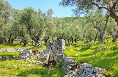 an old stone building in a field with trees at PRINCESS - Valdanos in Ulcinj