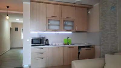 a kitchen with wooden cabinets and a microwave at Holiday Home Kalicanin in Bar