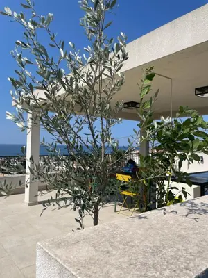 a plant sitting on the side of a building at MiU Bar Apartment in Donji Susanj