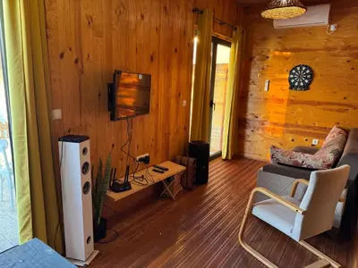 a living room with a couch and a television in a cabin at Barbana Cottage , Ada Bojana in Ulcinj