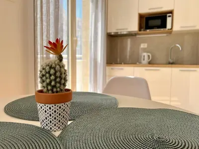 a cactus in a pot on a table in a kitchen at Palma in Budva