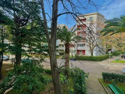 a tree in a park next to a building at Family two bedroom apartment Slavija in Budva