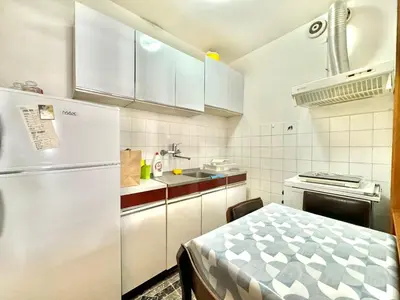 a small kitchen with a refrigerator and a sink at Family two bedroom apartment Slavija in Budva