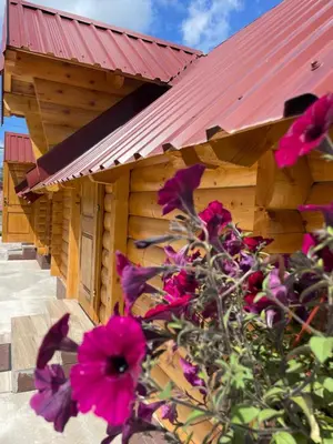 a wooden building with pink flowers in front of it at Cozy bungallows in Podgorica
