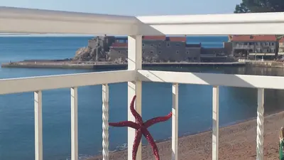 a red starfish on a white railing overlooking the ocean at Apartments Teodora Obala in Petrovac na Moru