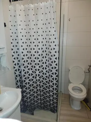 a bathroom with a toilet and a shower curtain at Apartman Fontana in Budva