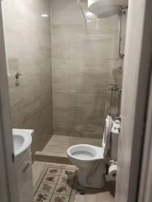 a bathroom with a toilet and a shower at Apartments Familia in Budva