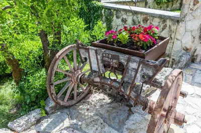 a wooden cart with a planter with flowers on it at Guest House Vrelo in Virpazar