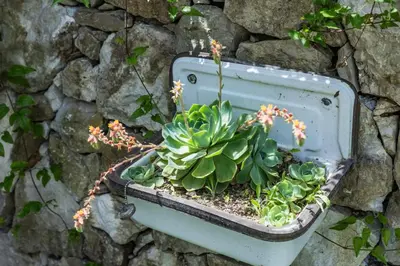 a plant in a planter in a stone wall at Guest House Vrelo in Virpazar