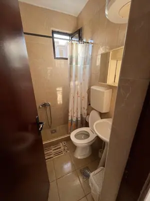 a small bathroom with a toilet and a shower at Apartments Sara 2 in Ulcinj