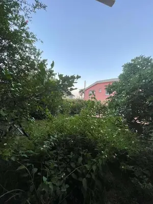 a hedge of bushes with a pink building in the background at Apartments KinGs in Petrovac na Moru