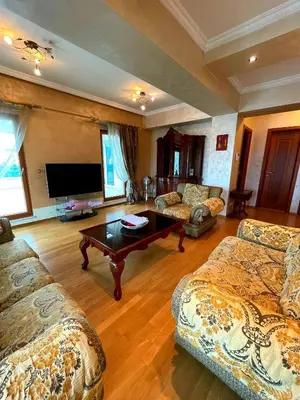 a living room with two couches and a tv at Central Rusitc Apartment in Podgorica