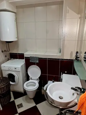 a small bathroom with a toilet and a sink at Central Rusitc Apartment in Podgorica