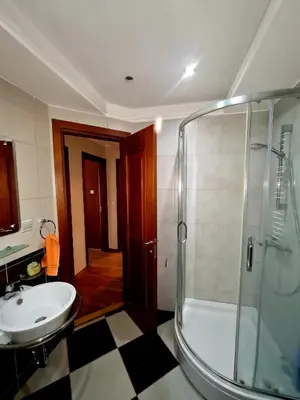 a bathroom with a shower and a sink at Central Rusitc Apartment in Podgorica