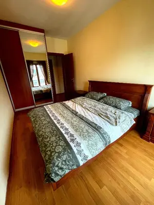 a bedroom with a large bed and a mirror at Central Rusitc Apartment in Podgorica