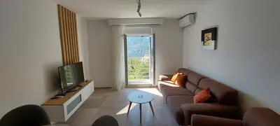 a living room with a couch and a television at Biserni Apartman 1 in Kotor