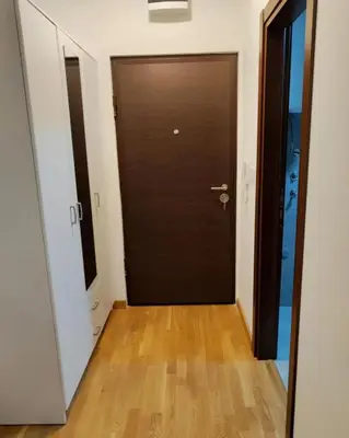 a hallway with a brown door and a wooden floor at Apartment Stefan in Budva