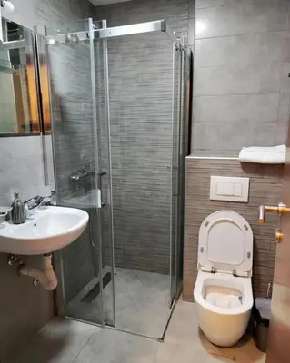 a bathroom with a shower and a toilet and a sink at Apartment Stefan in Budva