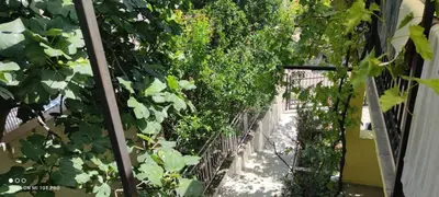 a garden with a fence with plants and trees at Summer Paradise, Bar in Bar