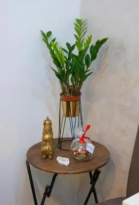 a table with a plant and a vase on it at Apartmani Milica Mica Kotor Dobrota in Kotor