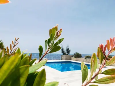 a view of a swimming pool with plants in the foreground at Casa Oliva Villa A with heating pool in Budva
