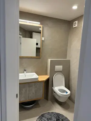 a bathroom with a toilet and a sink and a mirror at Apartman ANNA ATINA Budva in Budva