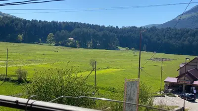 a large green field with animals in the distance at Njegusi-Cetinje in Njeguši