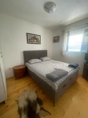 a bedroom with a bed and a dog laying on the floor at Njegusi-Cetinje in Njeguši