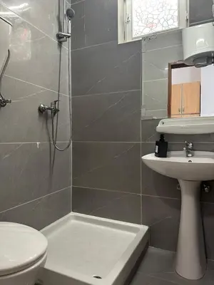 a bathroom with a shower and a toilet and a sink at Themis Apartment in Kotor