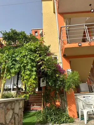 a building with a bunch of plants on the side of it at Themis Apartment in Kotor